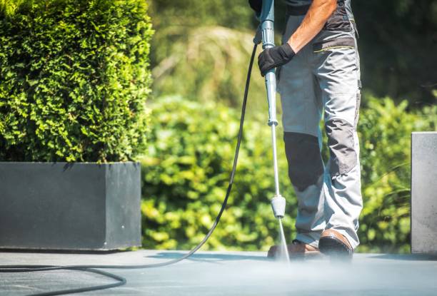 Best Dumpster Area Cleaning  in Bridge City, TX