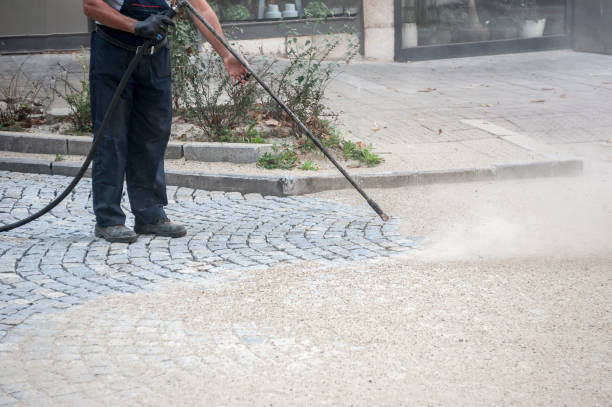 Best Animal Enclosure Cleaning  in Bridge City, TX