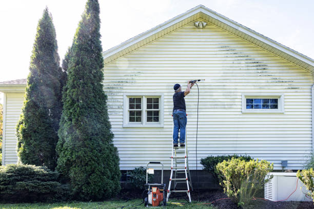 Best Restaurant Pressure Washing  in Bridge City, TX