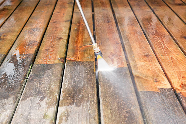 Animal Enclosure Cleaning in Bridge City, TX